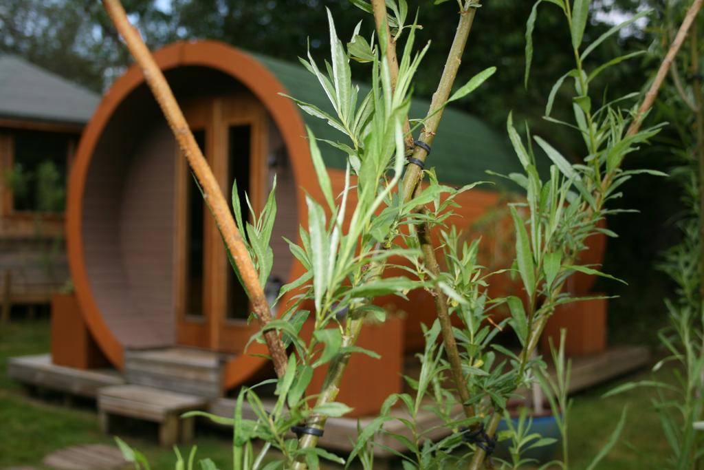 Bcc Lochness Hostel Pods Bearnock Exterior photo