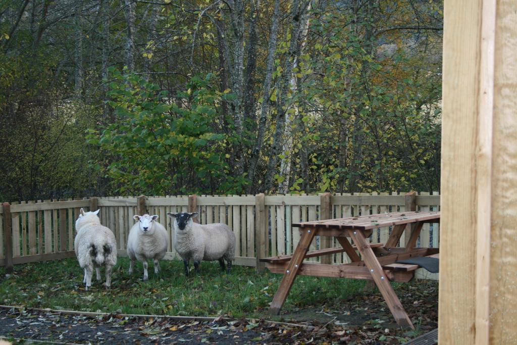 Bcc Lochness Hostel Pods Bearnock Room photo