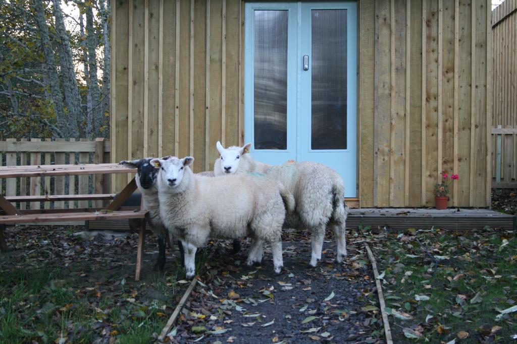 Bcc Lochness Hostel Pods Bearnock Room photo