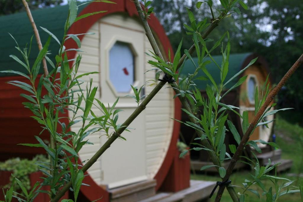 Bcc Lochness Hostel Pods Bearnock Room photo